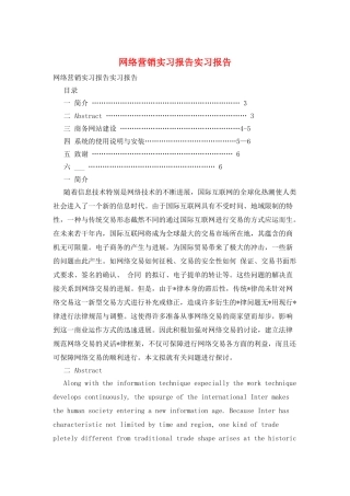 网络营销实习报告实习报告