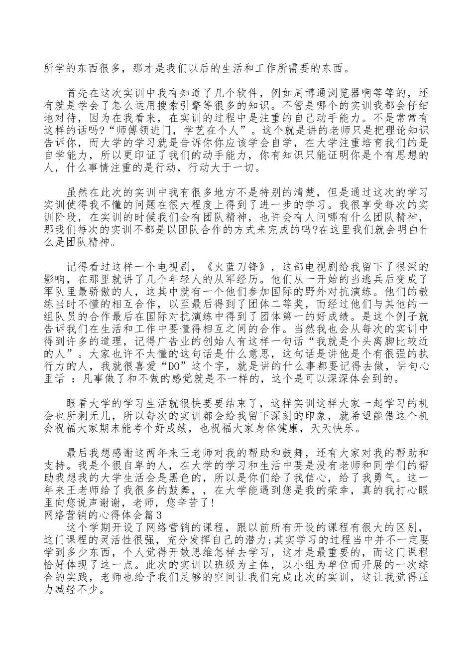 网络营销的心得体会_第2页