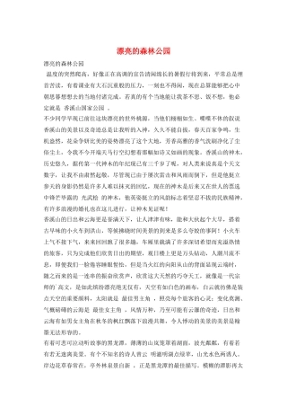 美丽的森林公园