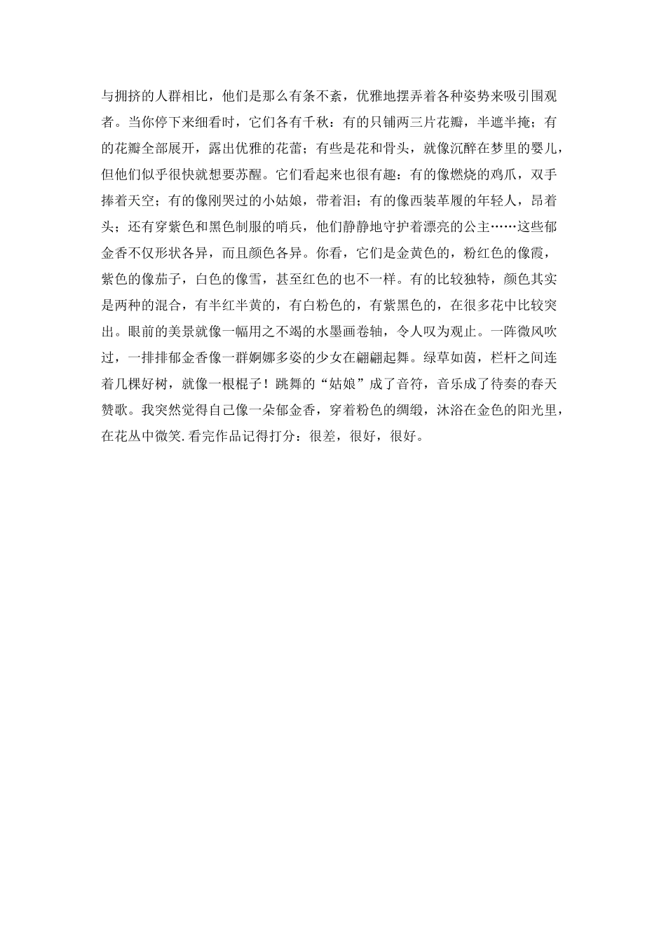 美丽的郁金香_第2页