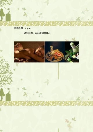 美容院SPA会所价格表设定模版