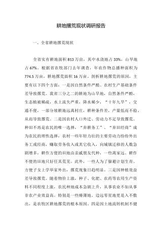 耕地撂荒现状调研报告
