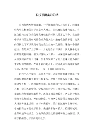 职校顶岗实习总结