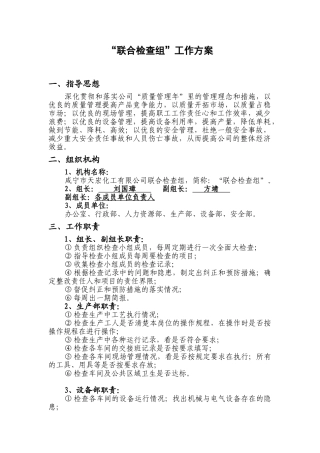 联合检查组工作方案2025