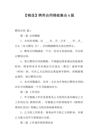 聘用合同模板集合6篇