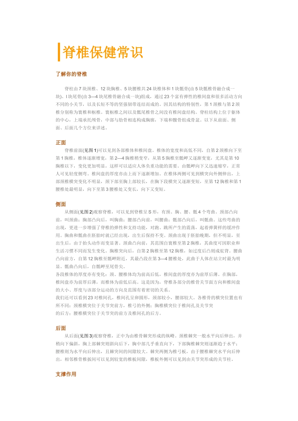 脊椎保健常识_第1页