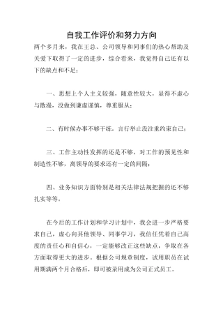 自我工作评价和努力方向