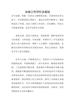 自我工作评价及规划