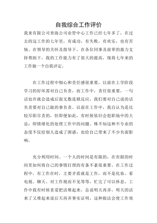 自我综合工作评价