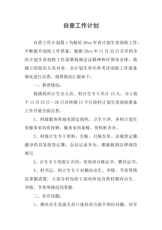 自查工作计划