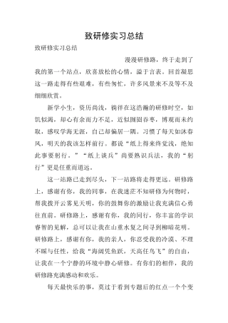 致研修实习总结