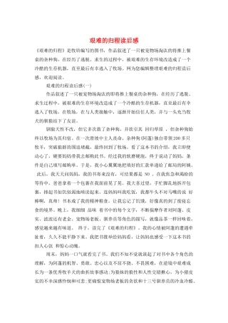 艰难的归程读后感