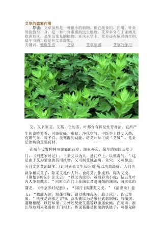 艾草的驱邪作用
