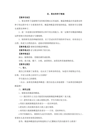 花、果实和种子的教案