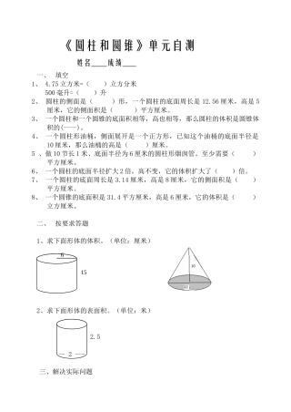 苏教版六年级数学圆柱圆锥试卷