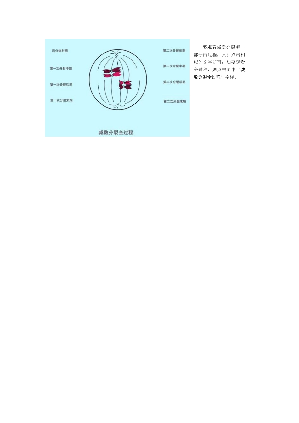 课件使用说明_第2页