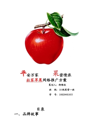 苹果网络推广方案