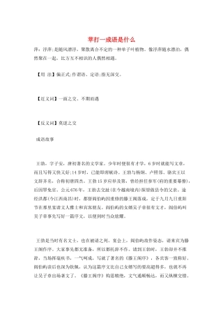 苹打一成语是什么