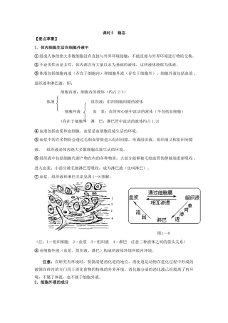 课时5  稳态
