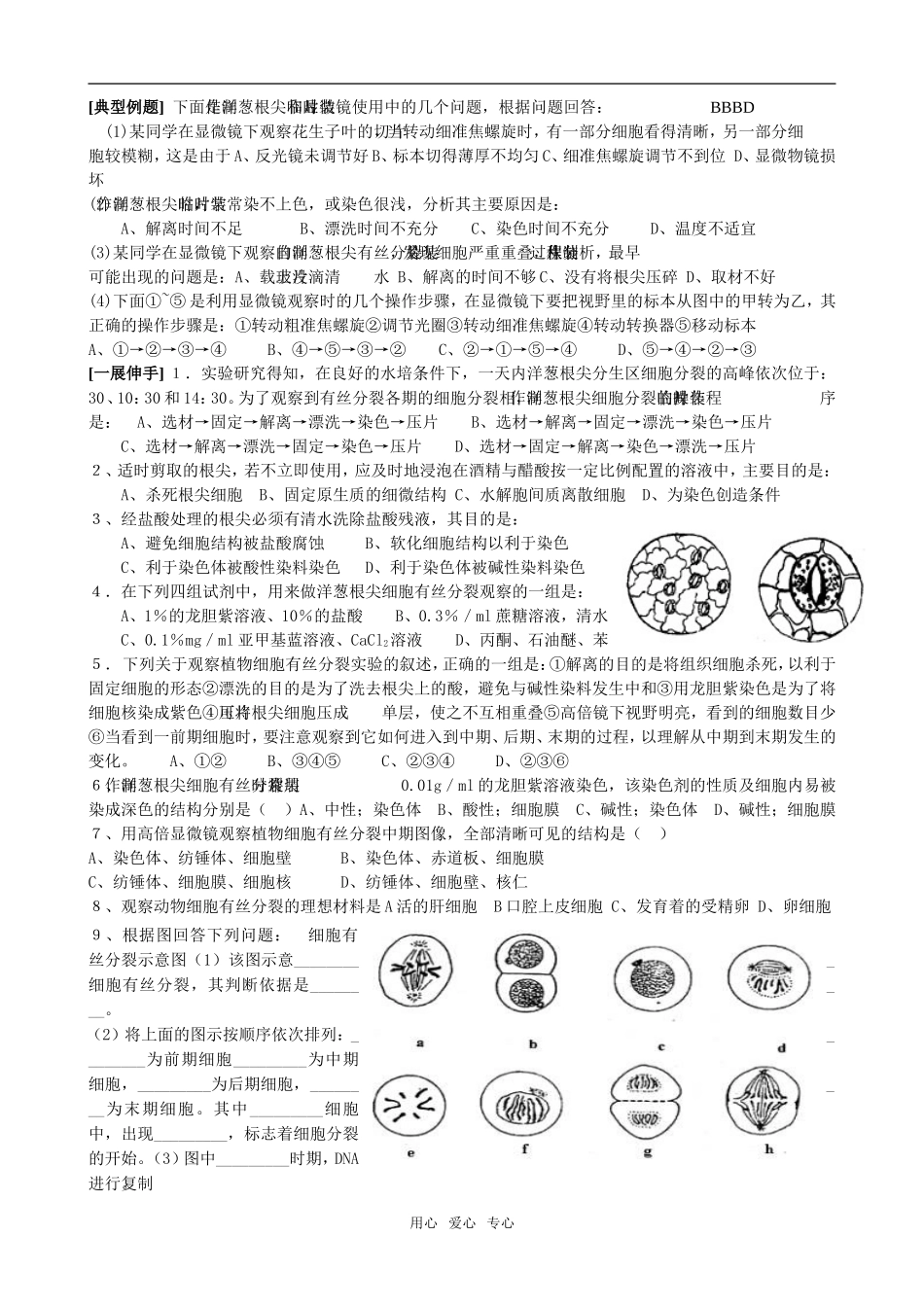课题观察植物有丝分裂_第2页