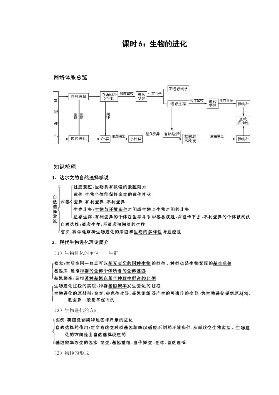课时6  生物进化_第1页