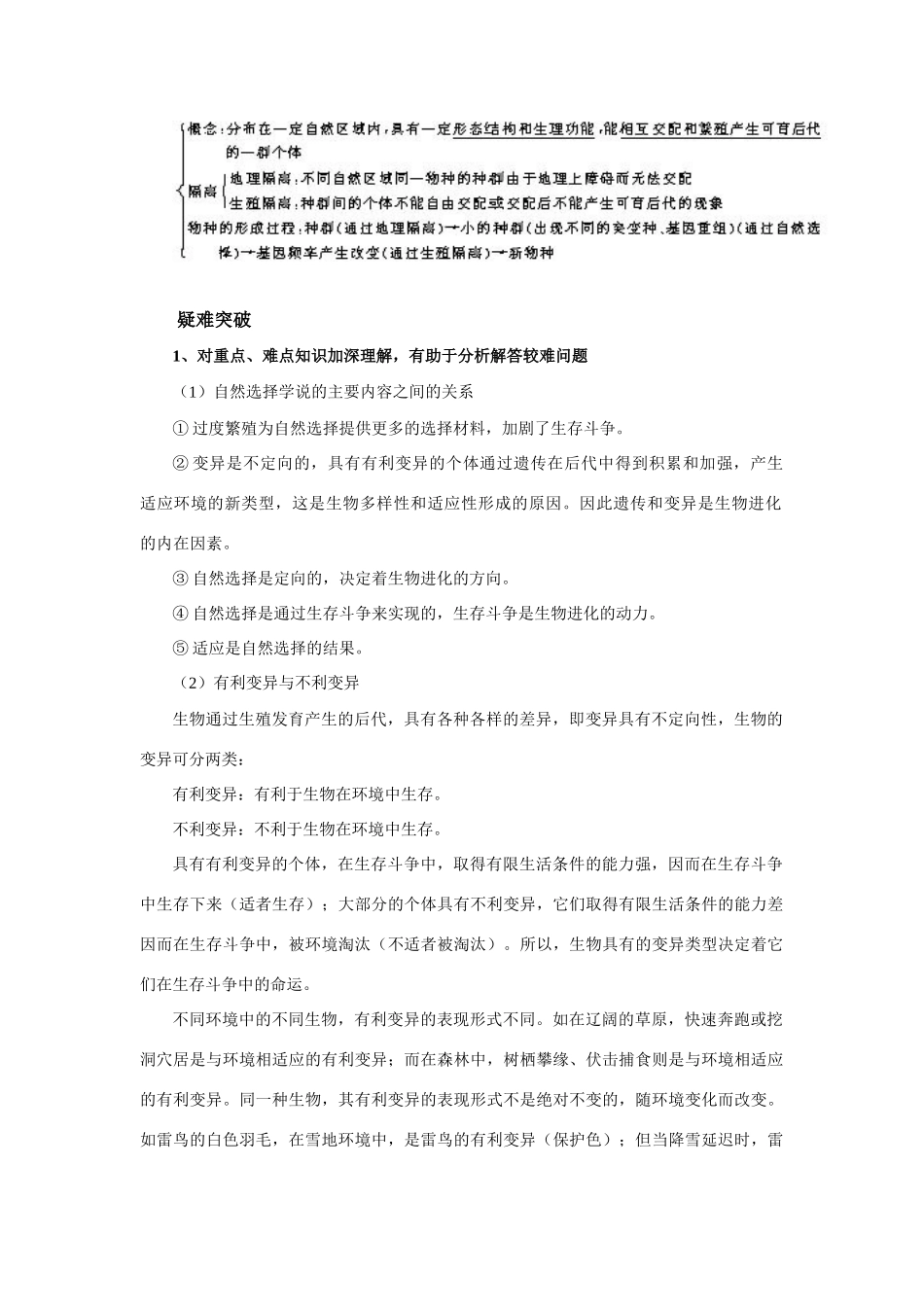 课时6  生物进化_第2页