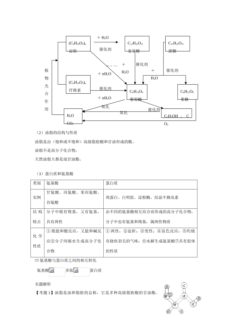糖类 脂肪 蛋白质_第2页