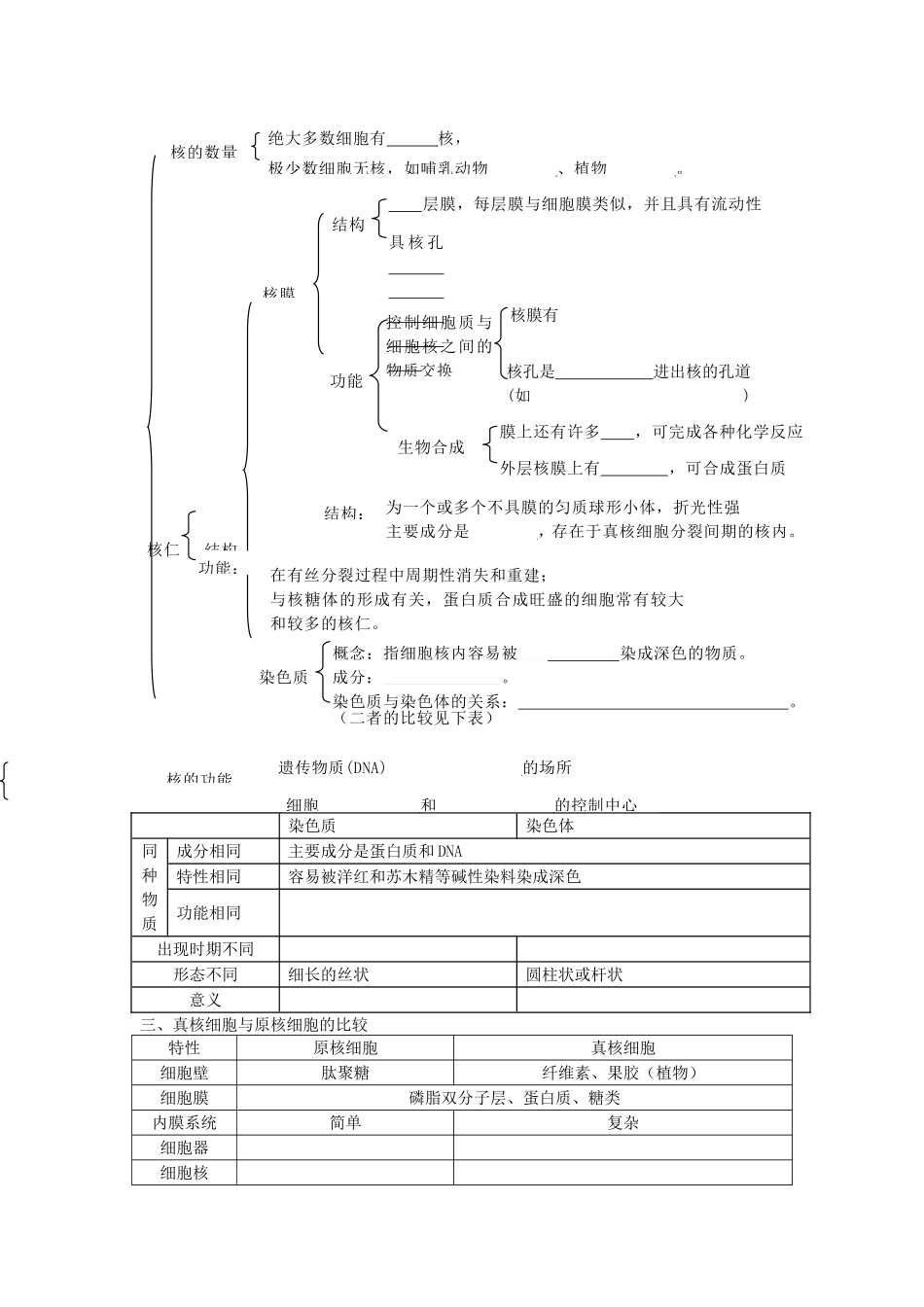细胞质和细胞核_第2页