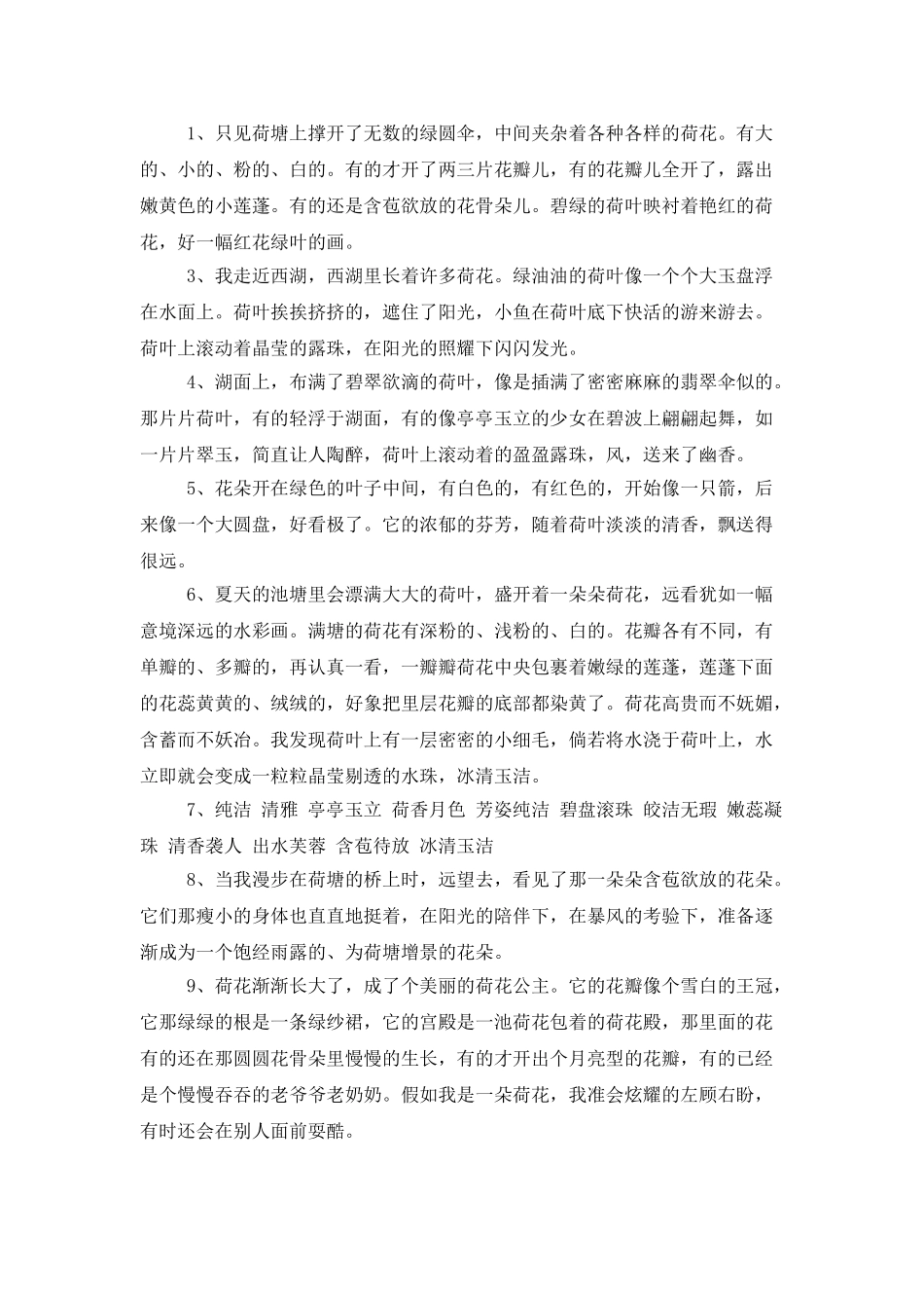 荷花好词好句_第3页