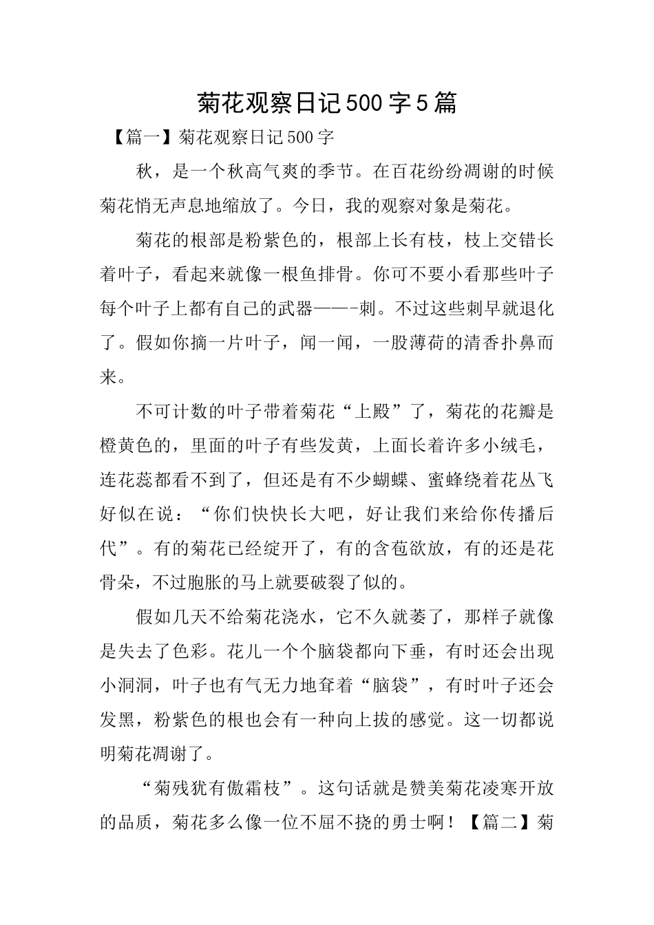 菊花观察日记500字5篇_第1页