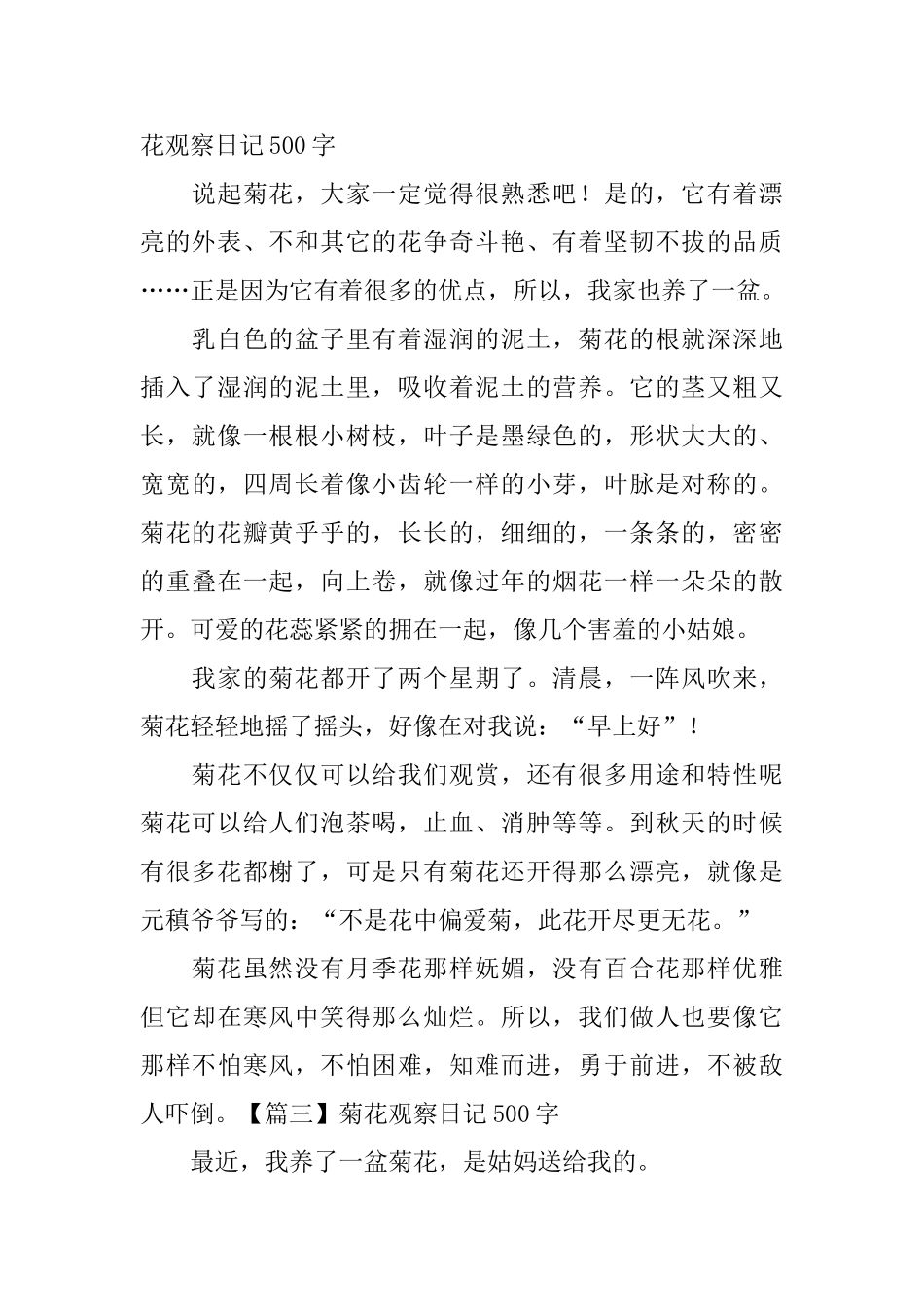菊花观察日记500字5篇_第2页