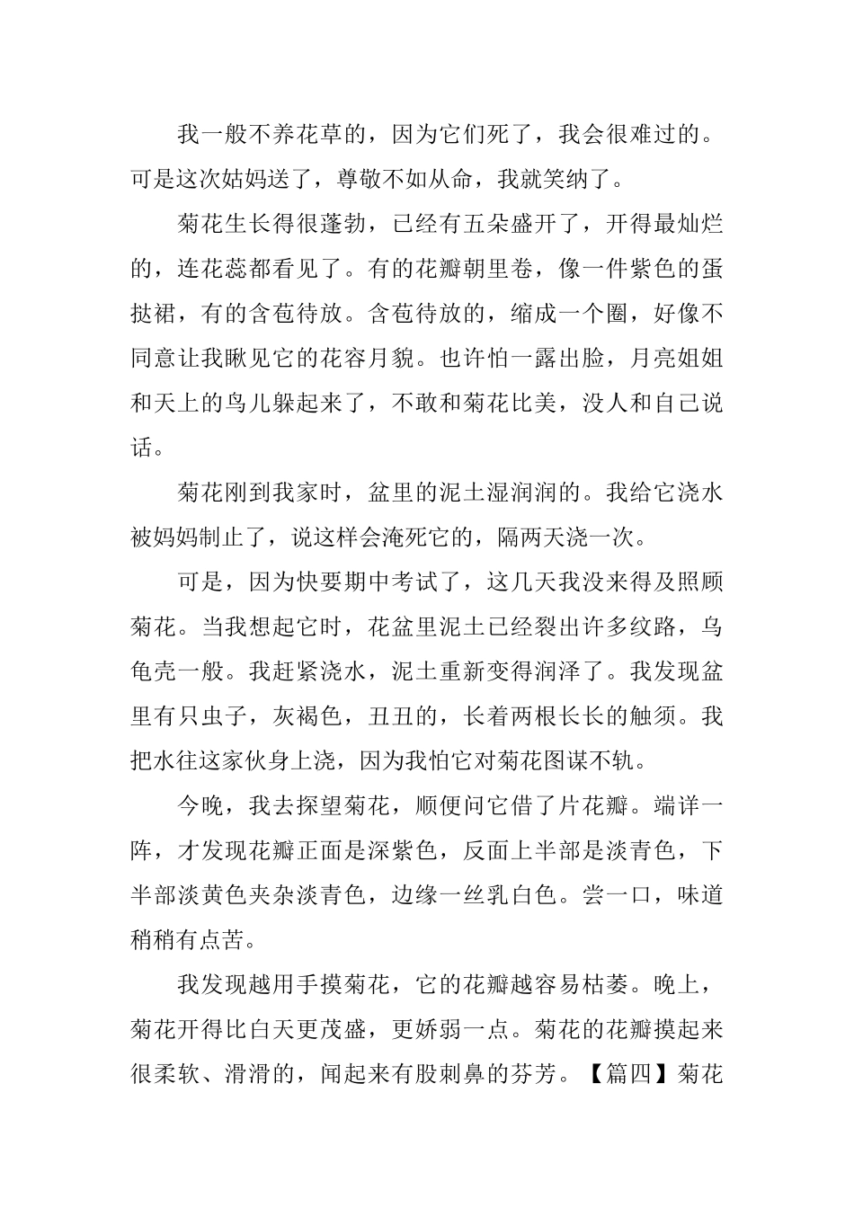 菊花观察日记500字5篇_第3页