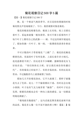 菊花观察日记500字5篇