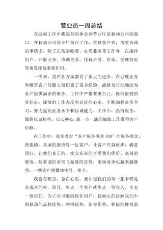 营业员一周总结