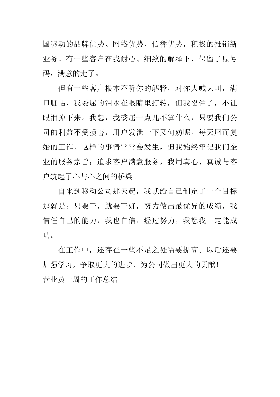 营业员一周的工作总结_第3页