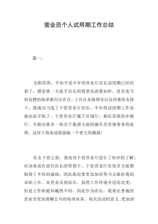 营业员个人试用期工作总结