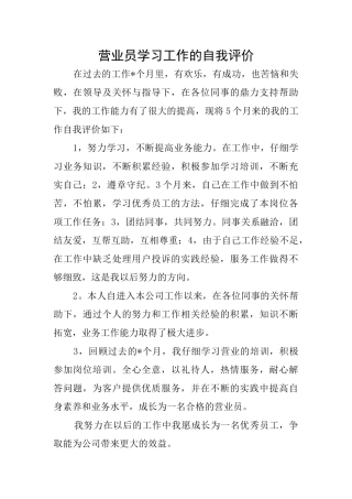 营业员学习工作的自我评价