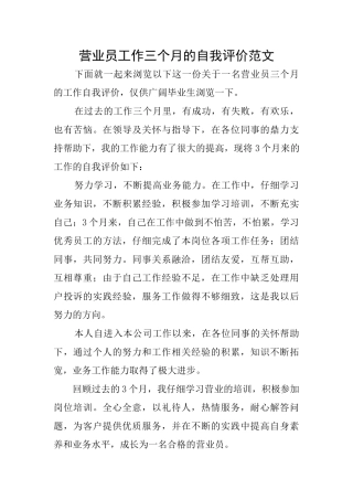 营业员工作三个月的自我评价范文