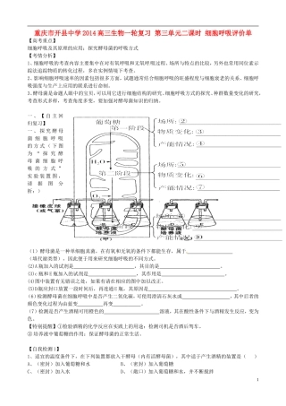 重庆市开县中学2014高三生物一轮复习 第三单元二课时 细胞呼吸评价单