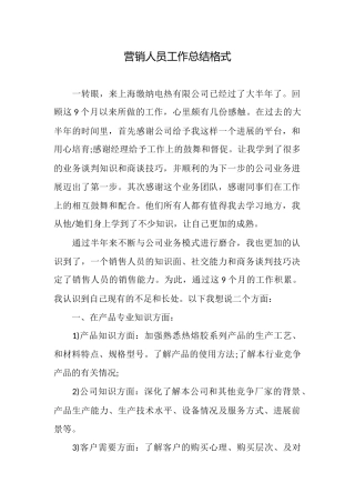 营销人员工作总结格式