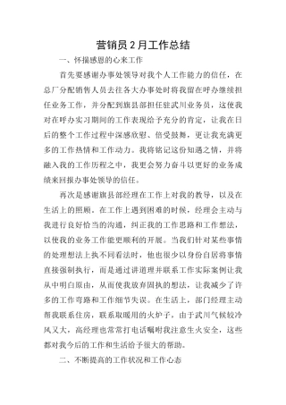 营销员2月工作总结