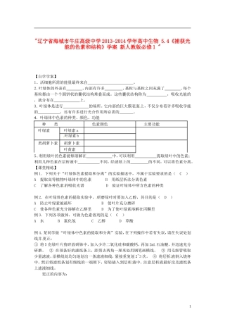 辽宁省海城市牛庄高级中学2013-2014学年高中生物 5.4《捕获光能的色素和结构》学案 新人教版必修1 
