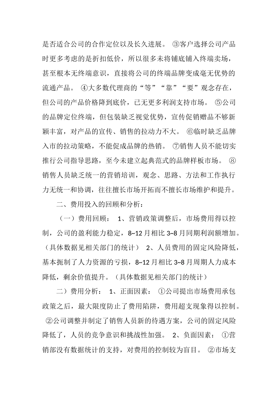 营销总监个人工作总结_第2页