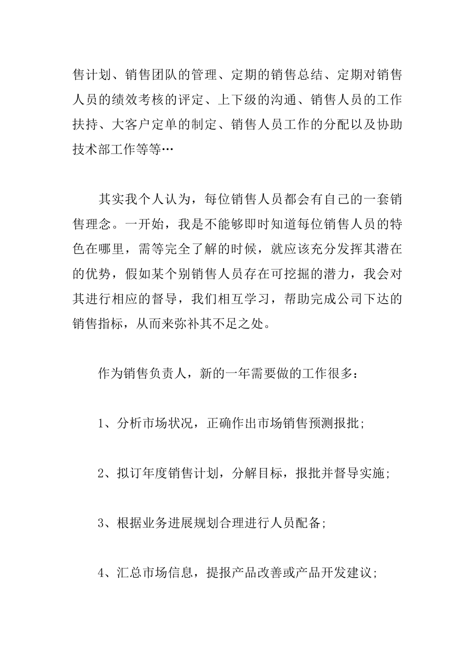 营销总监工作计划范例_第2页