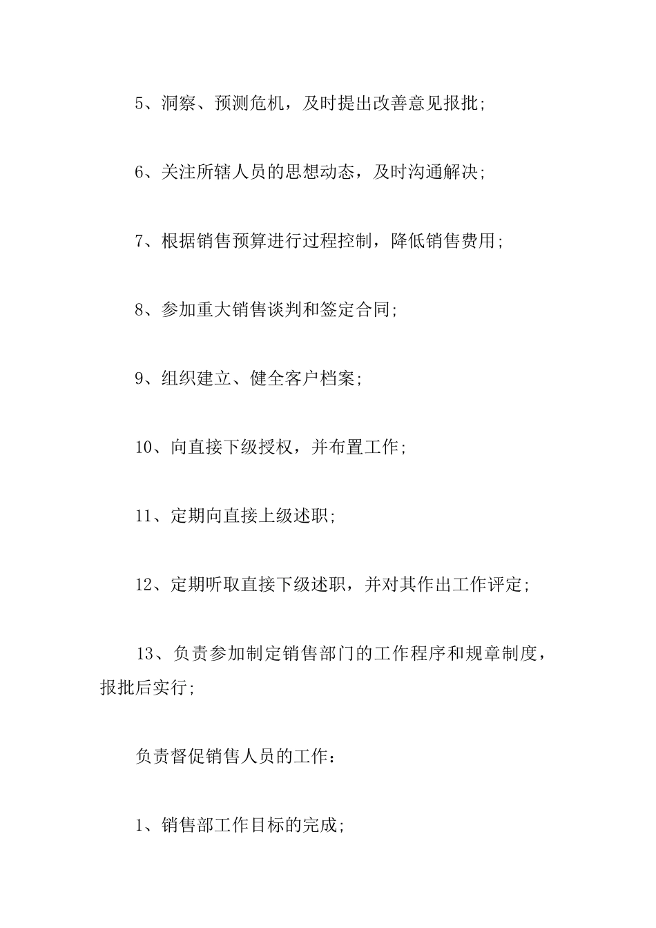 营销总监工作计划范例_第3页