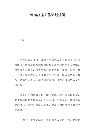 营销总监工作计划范例