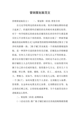 营销策划案范文