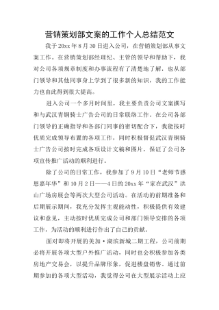 营销策划部文案的工作个人总结范文