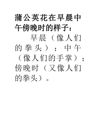 蒲公英花的样子