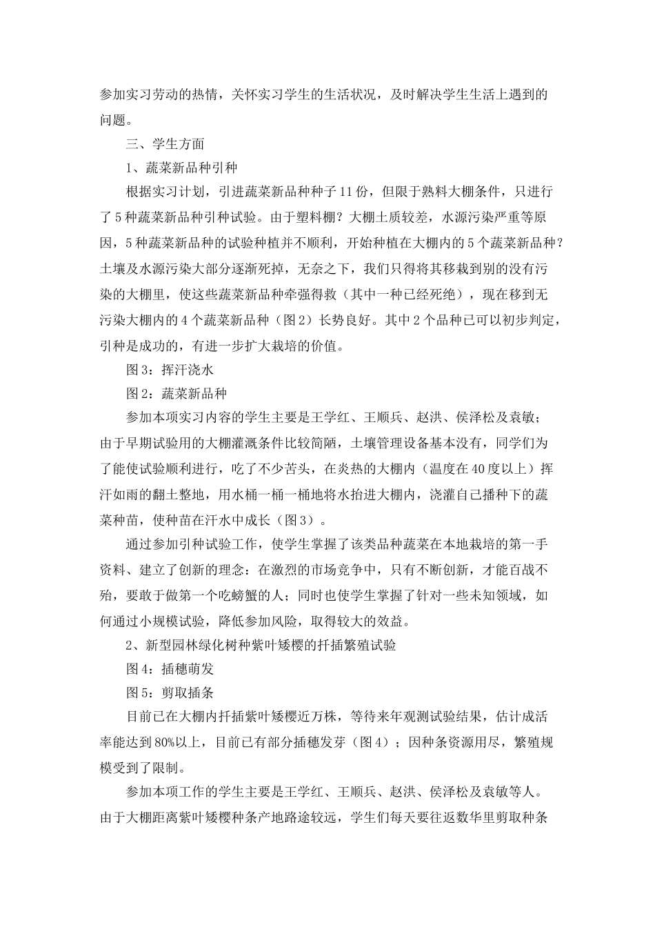 蔬菜基地实习工作总结_第2页